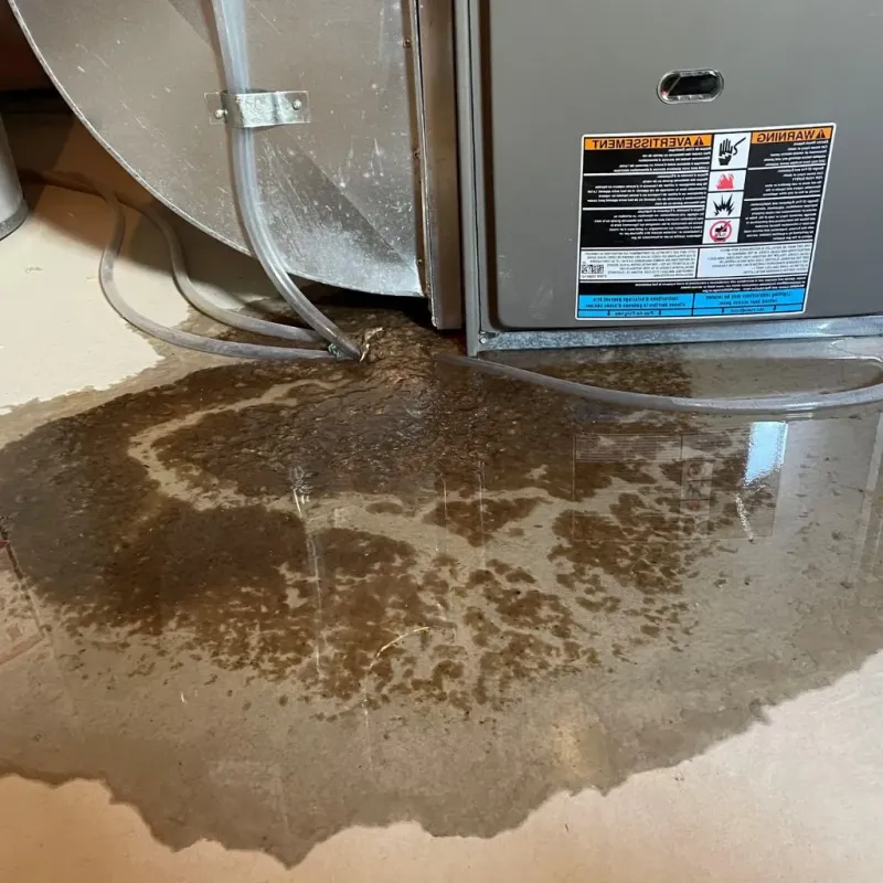 Pipe Burst and Leak Restoration in Lyndon, VT
