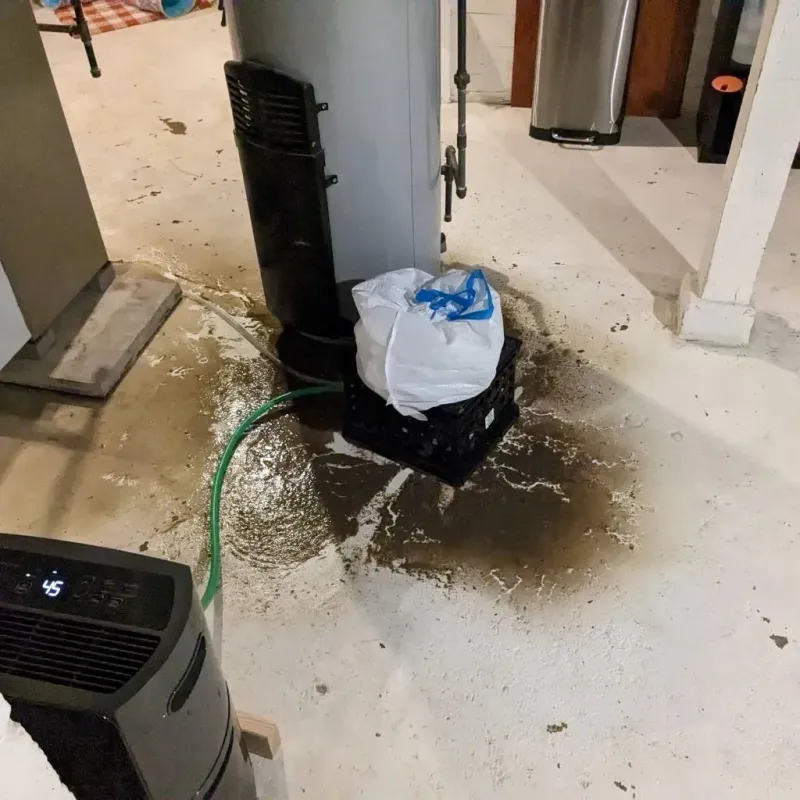 Sewage Backup Cleanup Service in Lyndon, VT